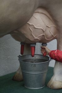 potreros - árboles para el ganado - ganadería regenerativa