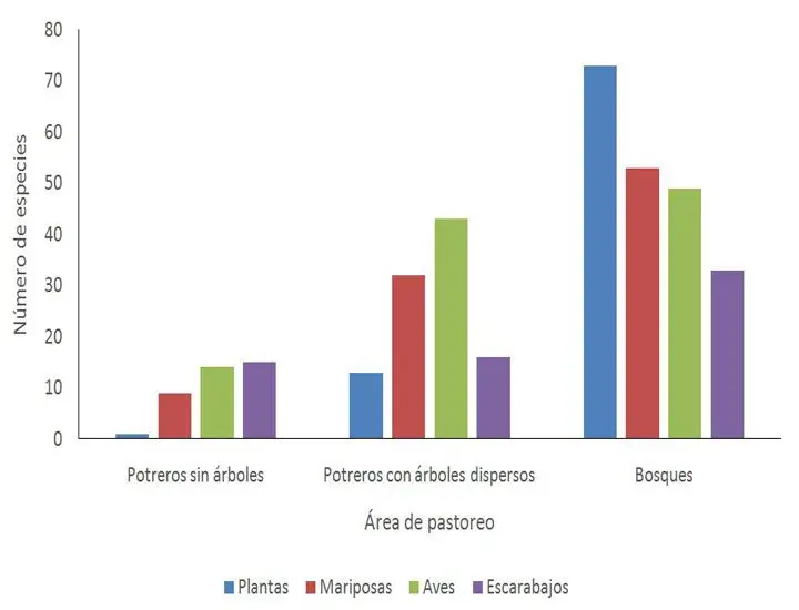 Gráfico de biodiversidad según presencia de árboles 