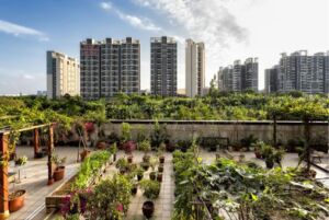 Agricultura urbana: Especias, qué son, tipos y beneficios