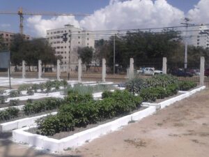 Agricultura urbana - Especias- tipos de agricultura urbana