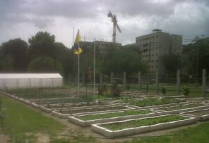Agricultura urbana - Especias - tipos de agricultura urbana