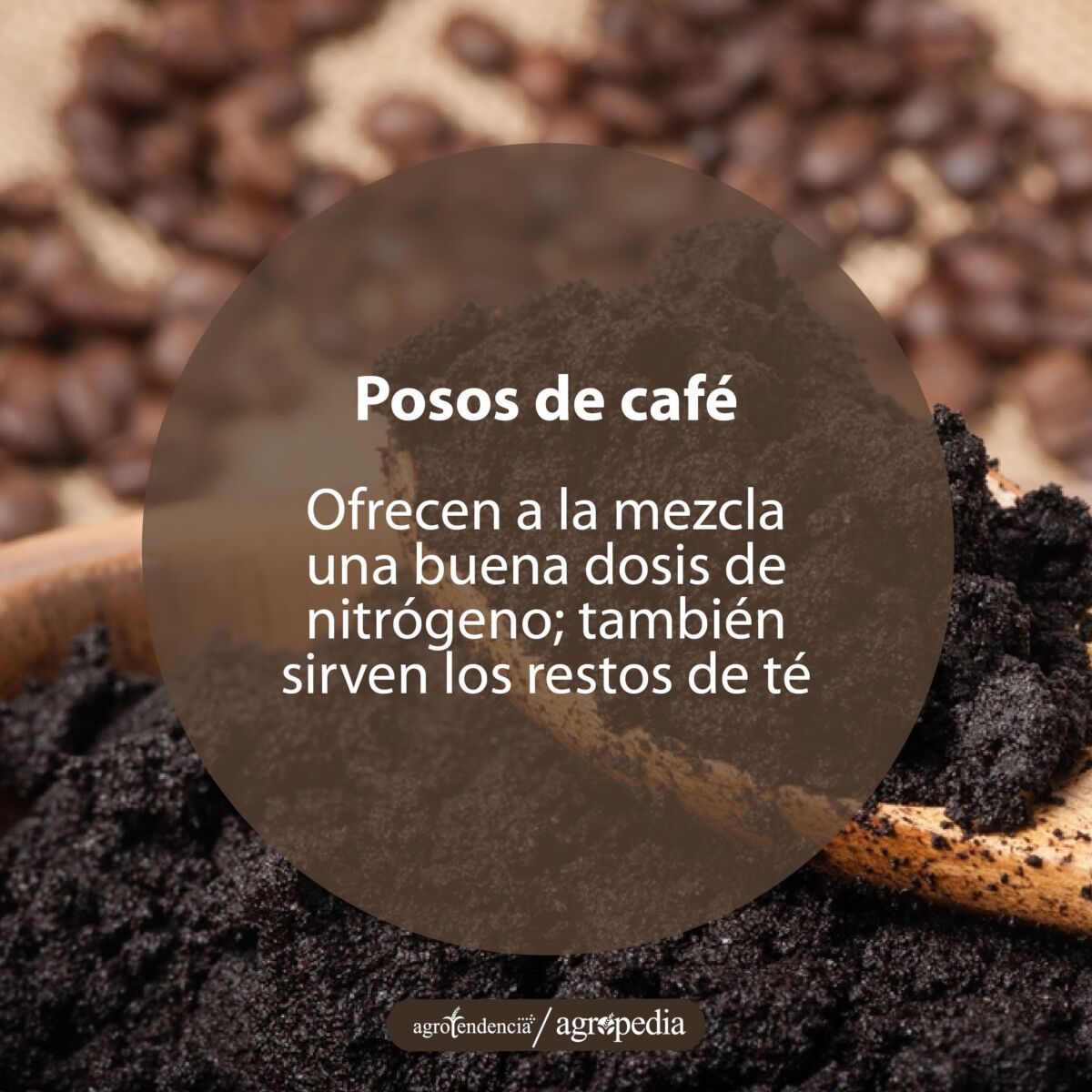 Posos de café para hacer abono en casa