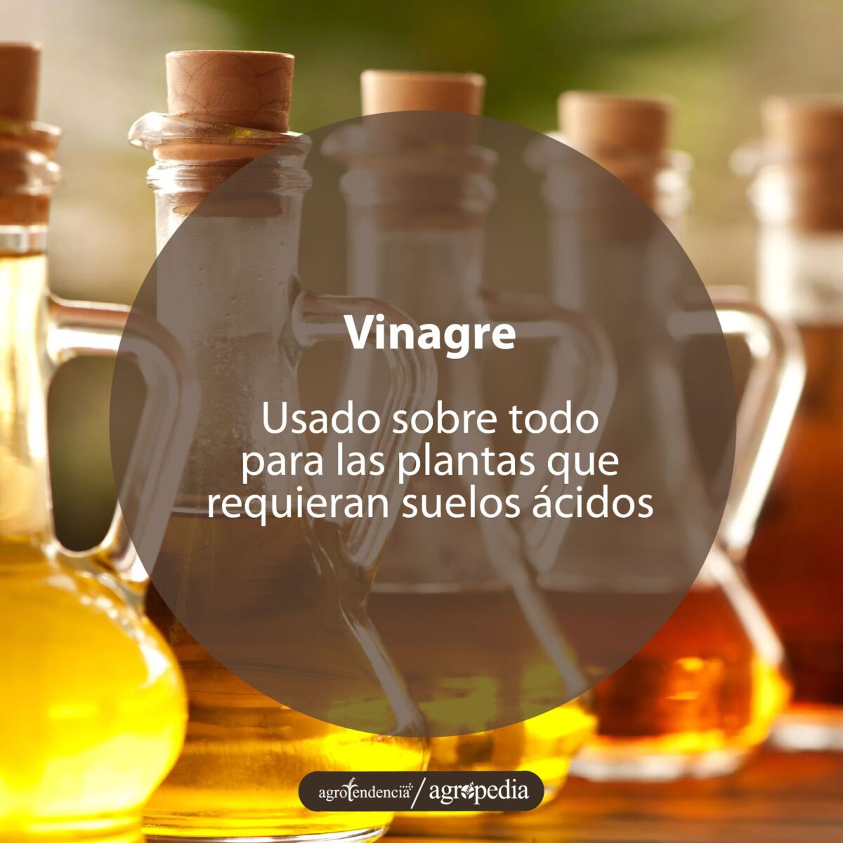 frascos de vinagre