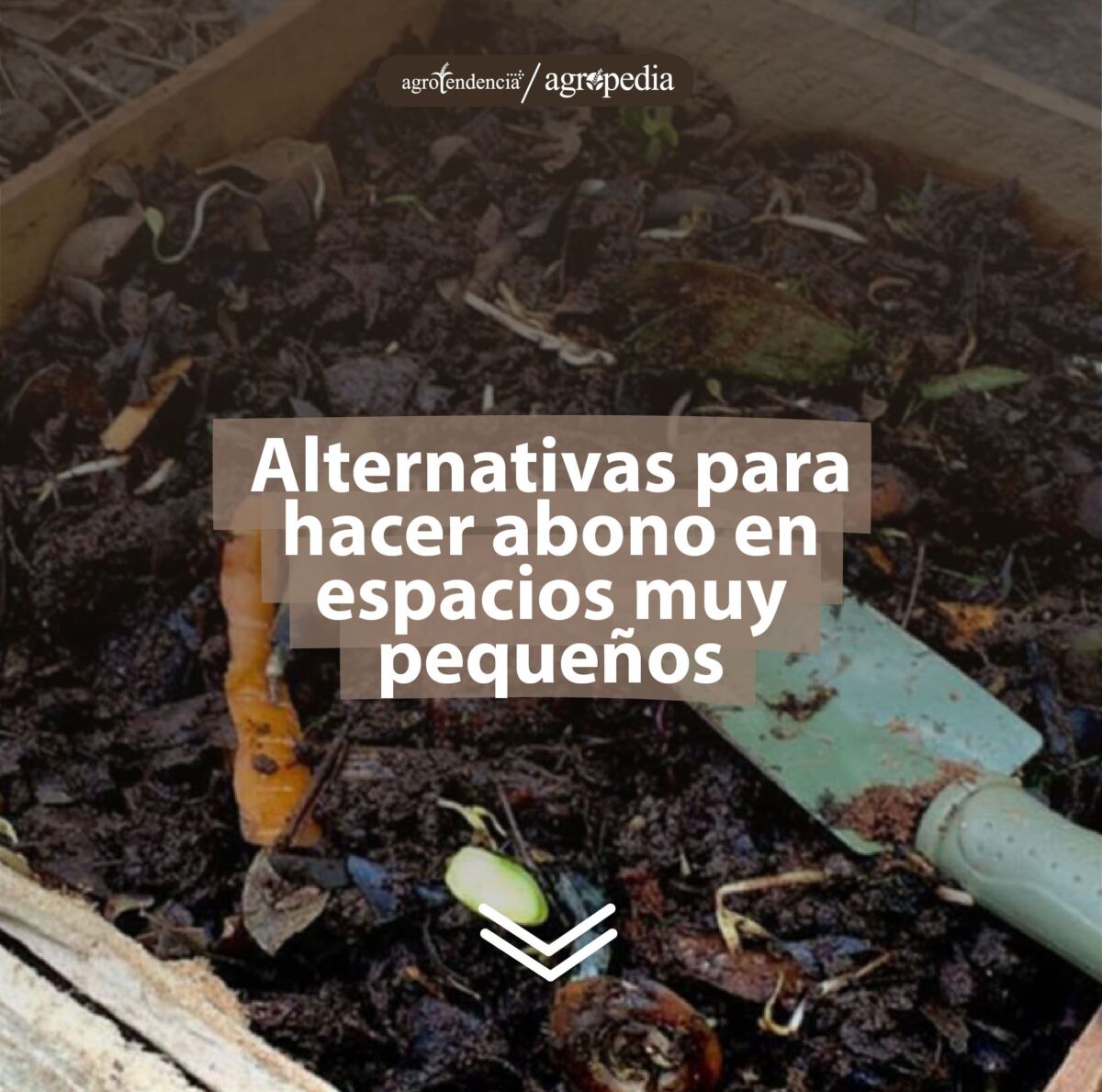 caja de madera con abono hecho en casa