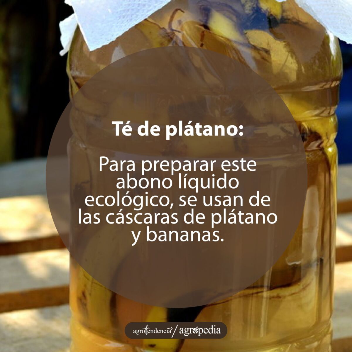 conchas de plátano dentro de botella de plástico transparente
