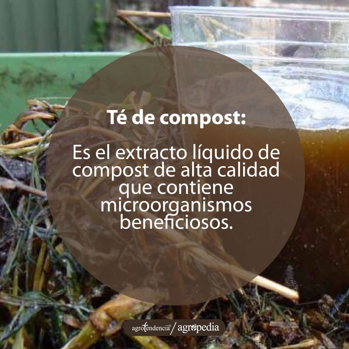 vaso plástico transparente con abono líquido