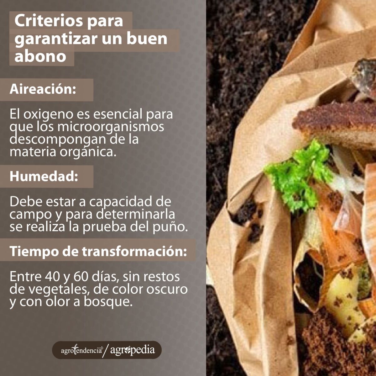 residuos vegetales para hacer abono en casa