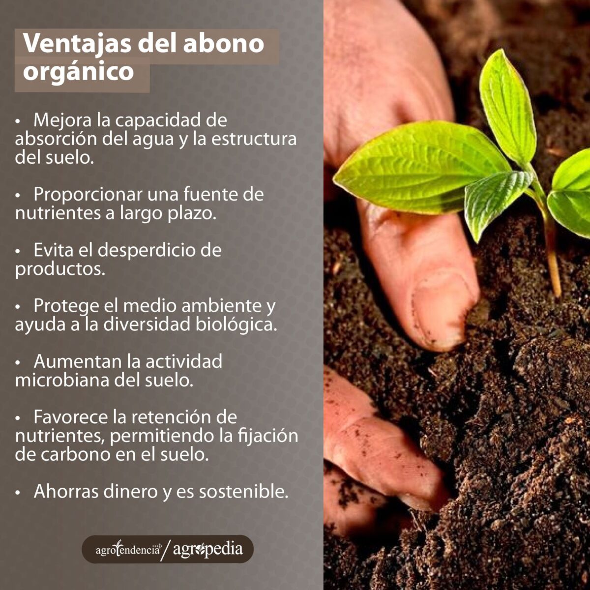 mano agarrando abono con una plántula
