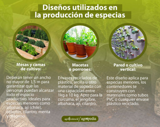 Tres diferentes modos de sembrar especias, Agropedia