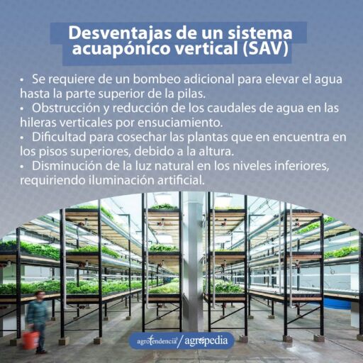 Estantes verticales con cultivos bajo sistema de acuaponía vertical