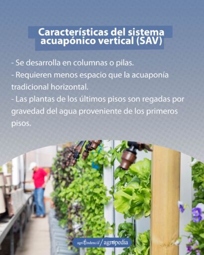 cultivo vertical bajo sistema de acuaponía vertical