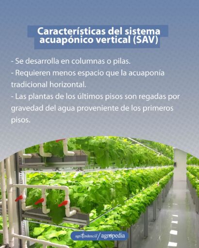 Estante con bandejas sembradas con cultivos bajo enfoque de acuaponía vertical