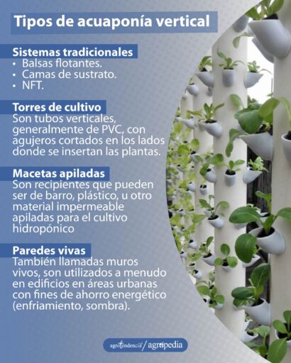 Tubos de pvc verticales sembrados con cultivos bajo enfoque de acuaponía vertical