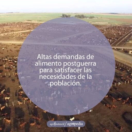 Vista aérea de una zona con una alta densidad de bovinos