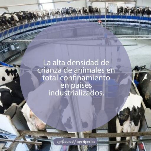 Un sistema circular de ordeño