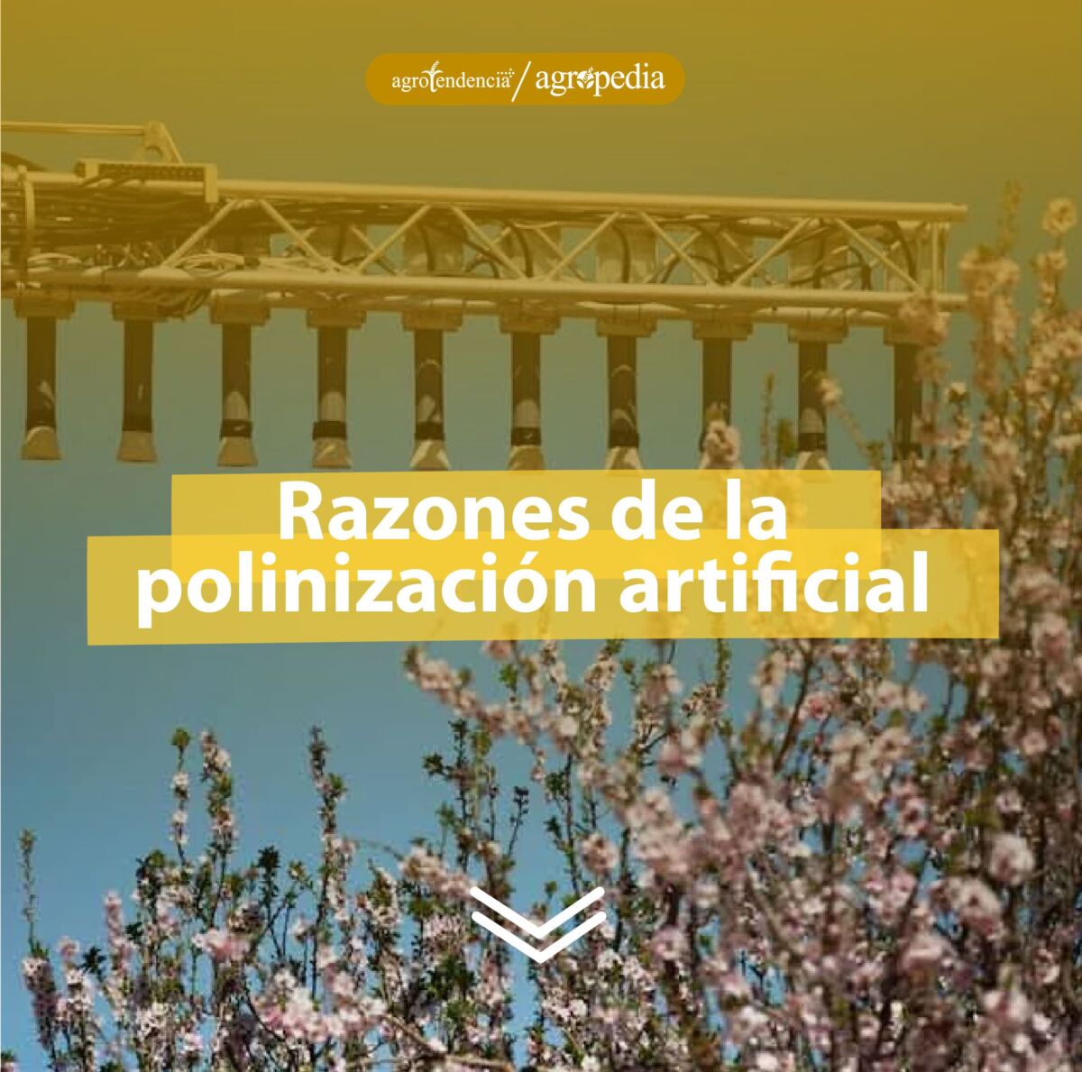 maquina polinizando flores rosadas