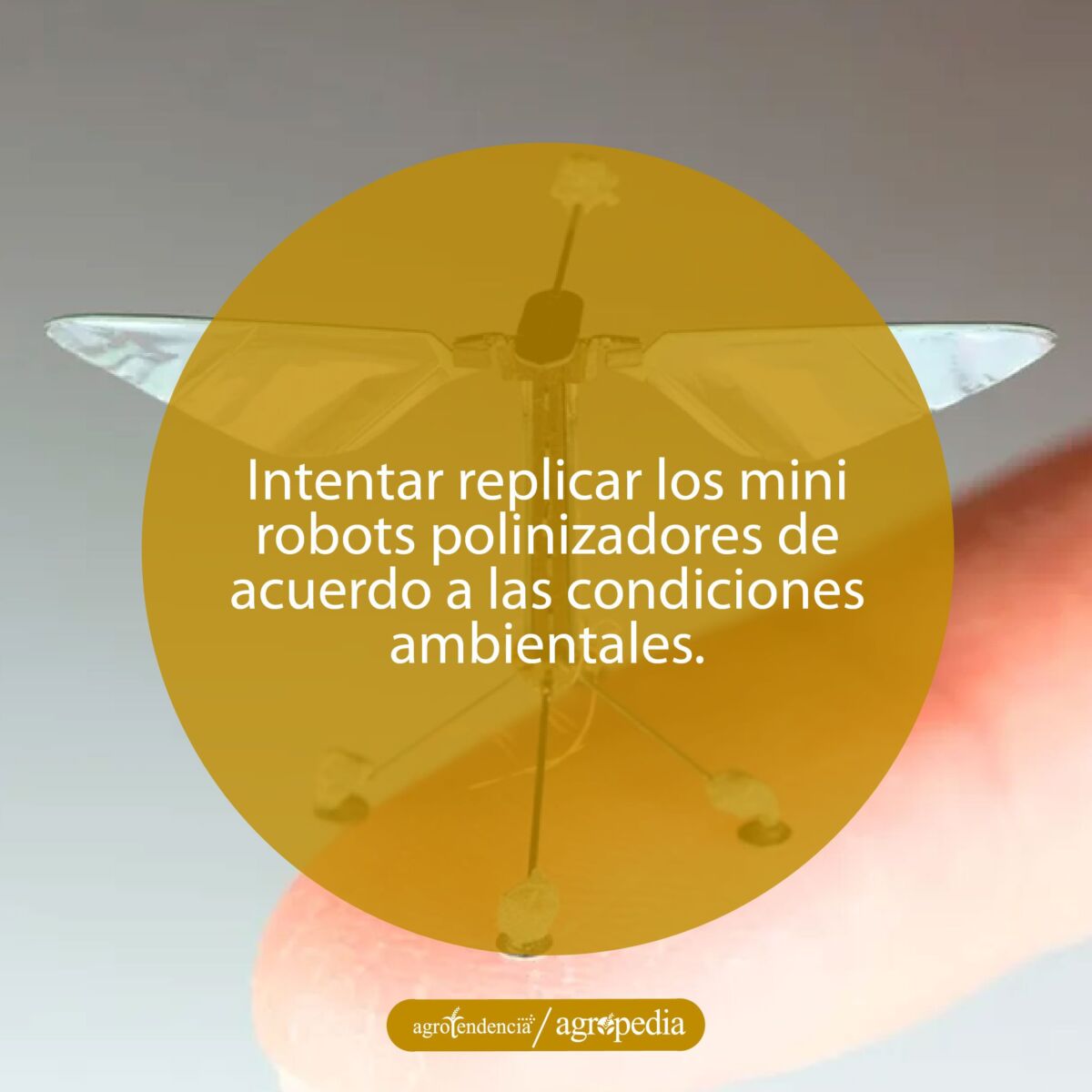 Un mini robot polinizador sobre el dedo de una persona