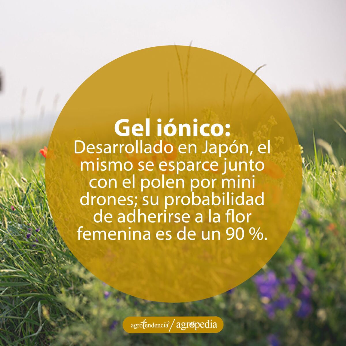 flores polinizadas con gel iónico