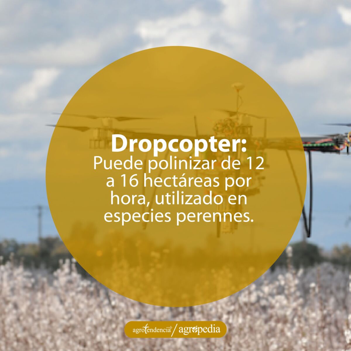 Un dron polinizando flores de un cultivo