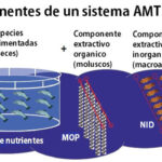 Acuicultura - reciclaje de nutrientes