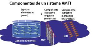 Acuicultura - reciclaje de nutrientes