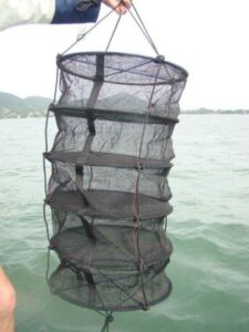 Acuicultura - reciclaje de nutrientes
