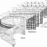 Acuicultura - reciclaje de nutrientes