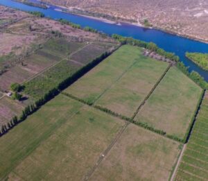 Conservación de suelos - técnicas de conservación de suelos - obras de conservacion de suelos y agua
