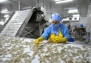 Bioseguridad - Acuicultura - equipos de bioseguridad