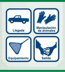 Bioseguridad - Acuicultura - protocolo de bioseguridad
