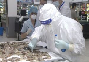 Bioseguridad - Acuicultura - equipos de bioseguridad