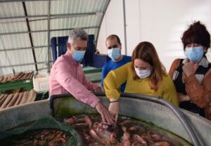 Bioseguridad - Acuicultura - niveles de bioseguridad
