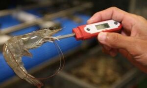 Bioseguridad - Acuicultura - protocolos de bioseguridad