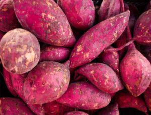 cultivo de batata - beneficios de la batata - tipos de batata