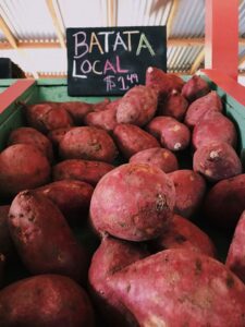 cultivo de batata - tipos de batata