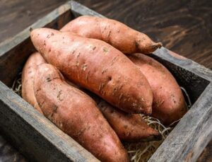 cultivo de batata - tipos de batata