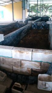 Lombriz roja californiana - vermicompost - produccion de humus de lombriz roja californiana