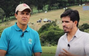 ganado lechero - alimento para ganado lechero - nutrición ganado lechero