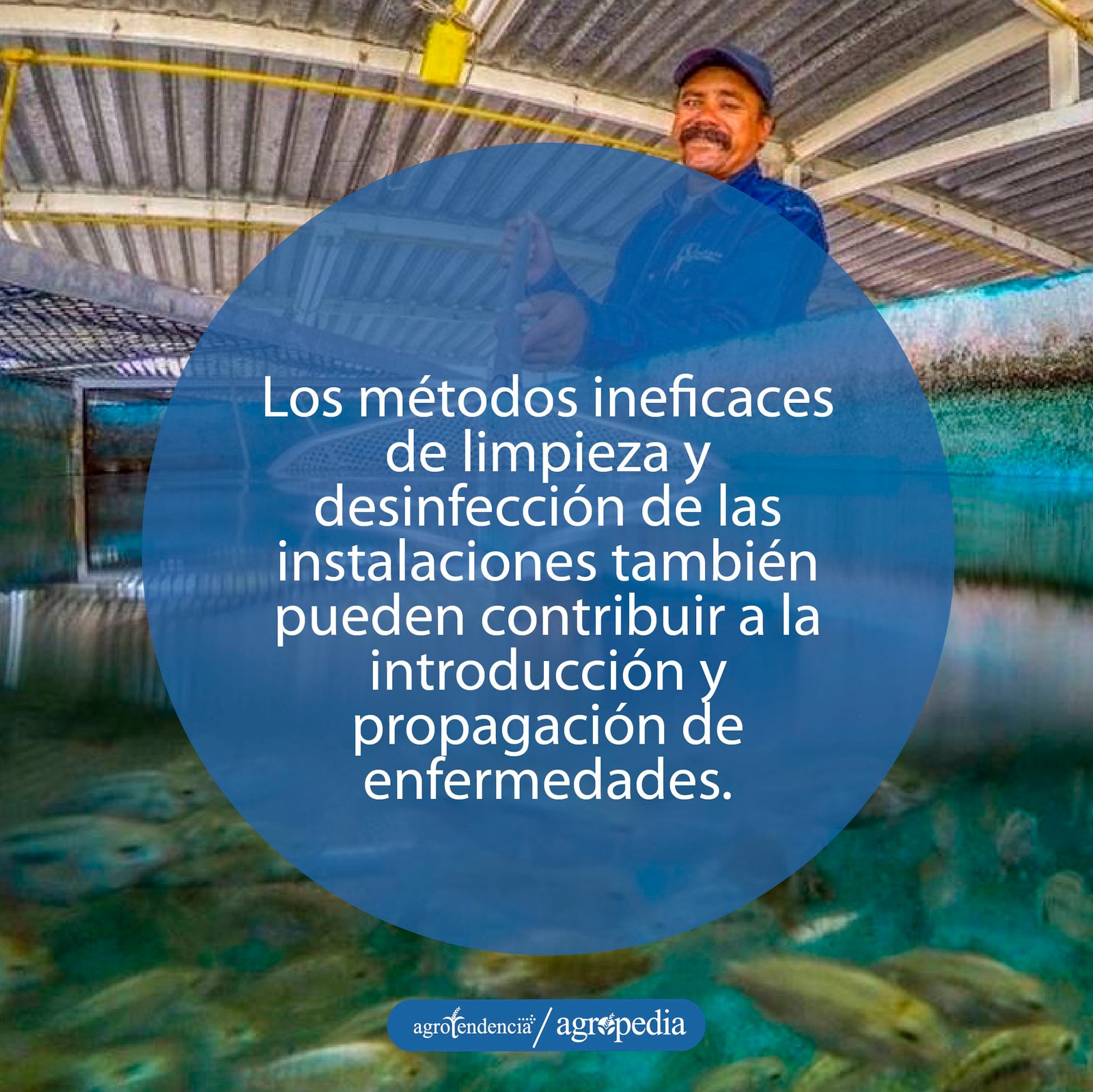 hombre desinfectando estanque con peces como medida de bioseguridad