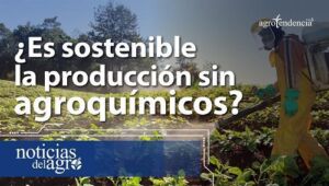 ¿Es sostenible la producción sin agroquímicos?