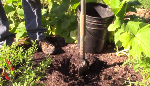Cómo hacer un análisis de suelo | Agro en 2 minutos