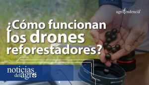 ¿Cómo funcionan los drones reforestadores?
