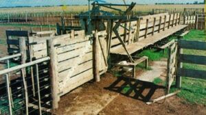 ganado vacuno - bienestar animal - planos diseño de corrales para ganado vacuno