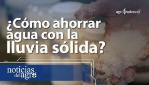 ¿Lluvia sólida? Cómo ahorrar agua con este novedoso sistema de riego
