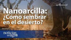 Nanoarcilla ¿Cómo sembrar en el desierto?