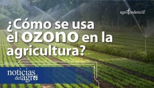 ¿Cómo se usa el ozono en la agricultura?