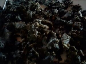 propóleo - propóleo de abeja -beneficios del propóleo