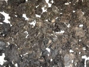 propóleo - propóleo de abeja -beneficios del propóleo