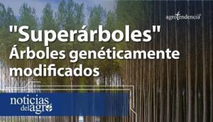 Superárboles - Árboles genéticamente modificados