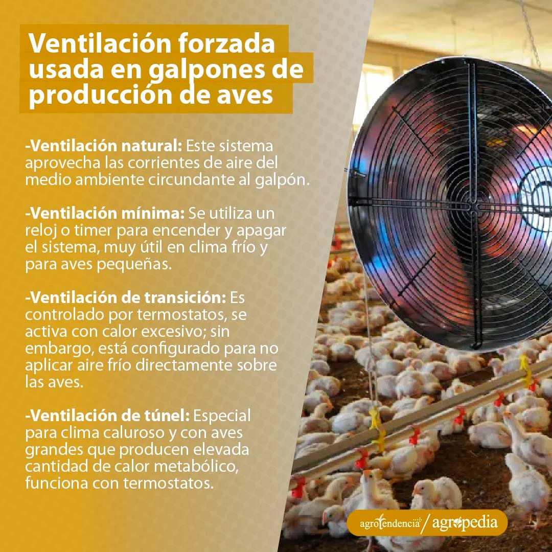 Ventilador usado en el galpón de aves para bajar la temperatura de las aves. Agropedia